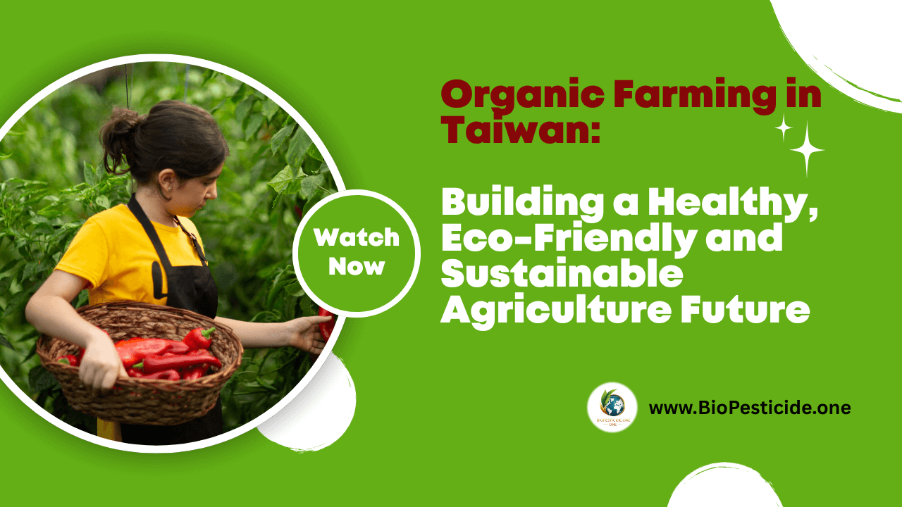 Organic Farming in Taiwan: Building a Healthy, Eco-Friendly and Sustainable Agriculture Future