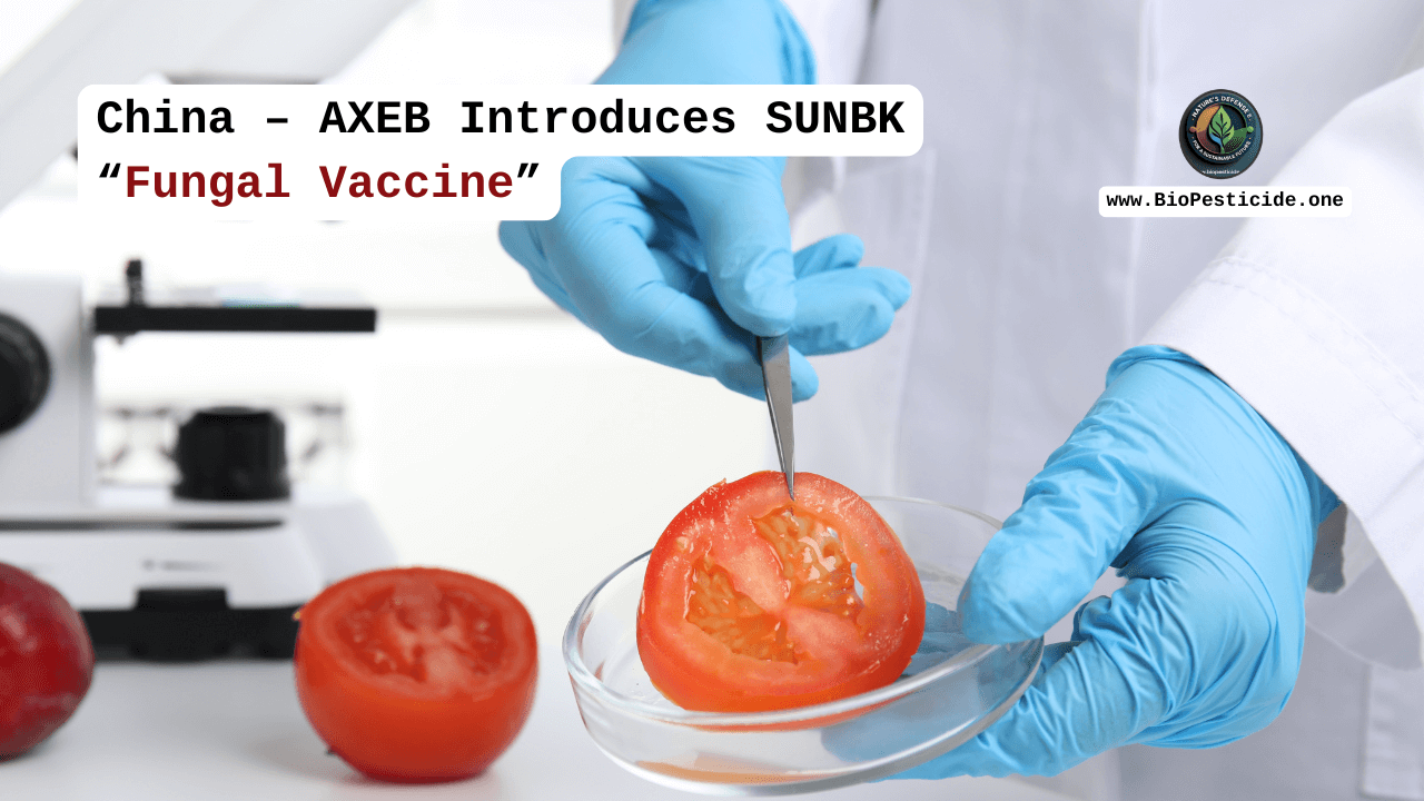 China – AXEB Introduces SUNBK “Fungal Vaccine”