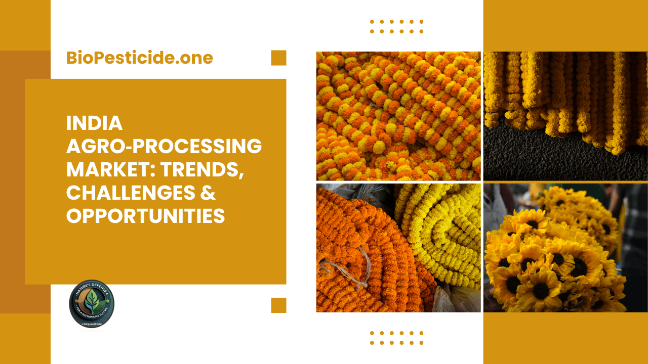 India Agro‑Processing Market Trends, Challenges & Opportunities
