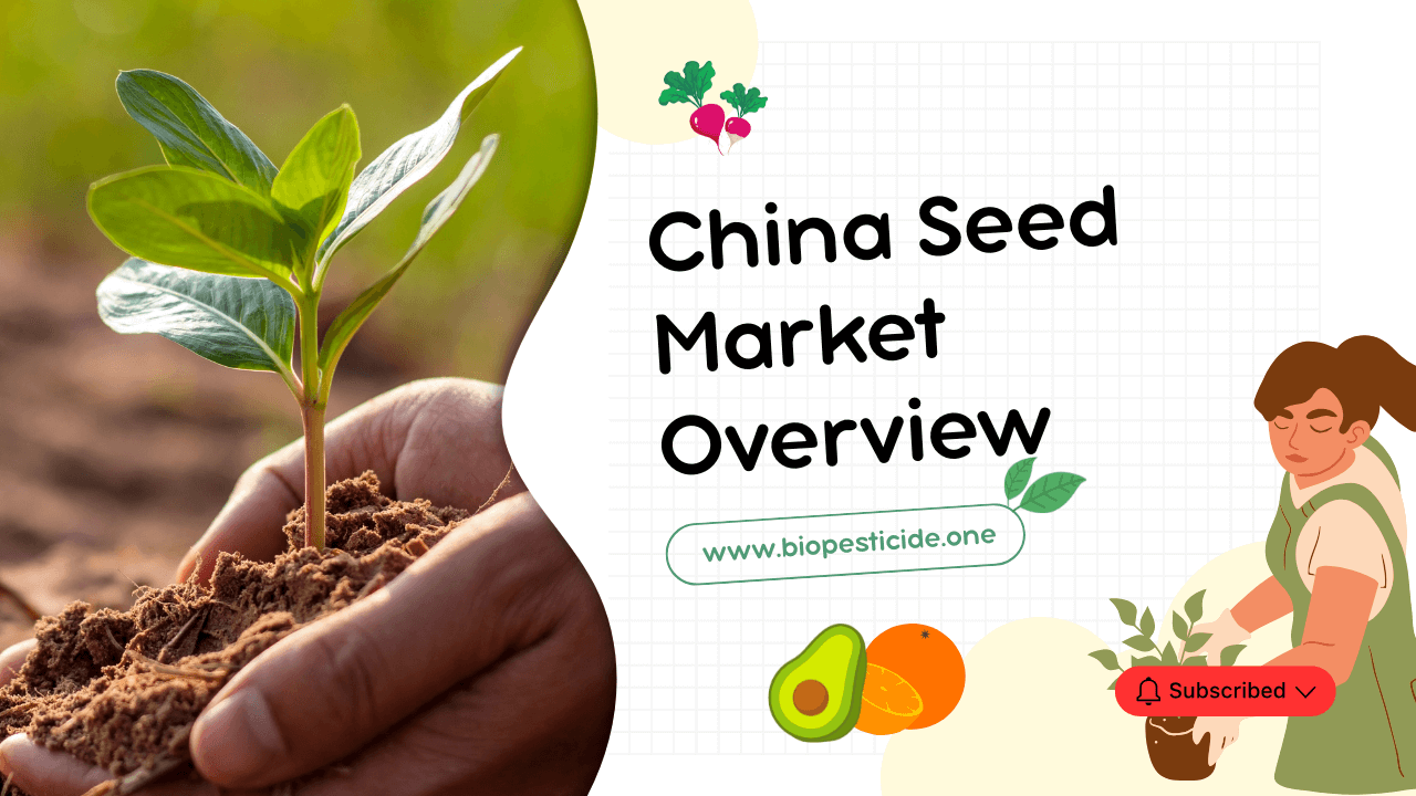 China Seed Market Overview